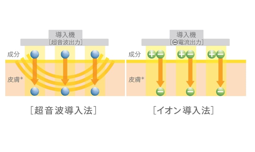 エンビロン独自のビタミン導入テクノロジー